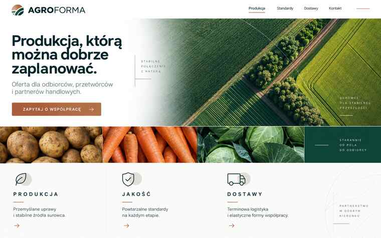 Przykładowy projekt strony producenta rolnego w uporządkowanym stylu B2B